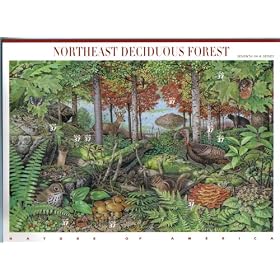 2005 Northeast Deciduous Forest #3899 Pane of 10 x 37cents US Postage Stamps