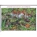 2005 Northeast Deciduous Forest #3899 Pane of 10 x 37cents US Postage Stamps