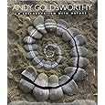 Andy Goldsworthy: A Collaboration with Nature