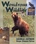 Wondrous Wildlife: A Different Look