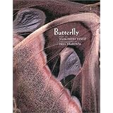 Butterflies and Moths