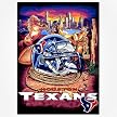 Houston Texans Woven Tapestry Throw
