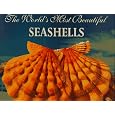 The World's Most Beautiful Seashells (Worlds Most Series)