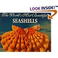 The World's Most Beautiful Seashells (Worlds Most Series)