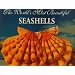 The World's Most Beautiful Seashells (Worlds Most Series)