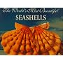 The World's Most Beautiful Shells (Worlds Most Series)