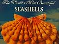 The World's Most Beautiful Seashells (Worlds Most Series)