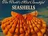The World's Most Beautiful Seashells (Worlds Most Series)