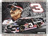 DALE EARNHARDT #3 48