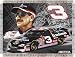 DALE EARNHARDT #3 48