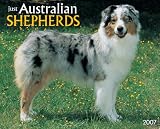 Just Australian Shepherds 2007 Calendar