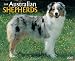 Just Australian Shepherds 2007 Calendar (Just)