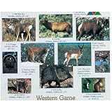Delta Tru-Life Western Paper Target Assortment