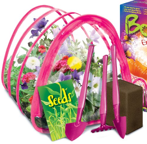 Imagen 2 de Aujas SAS - WA1000 - Ocio Creativo- Kit Botanique Féerique