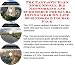 Book The Fantastic Earn More Money, Biz Networking and eCommerce for Scuba Diving Gear On-line Businesses 3 Course Pack