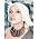 Vignette de Blondie
