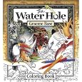 The Water Hole: Coloring Book by Graeme Base