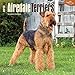 Airedale Terriers 2015 Wall Calendar