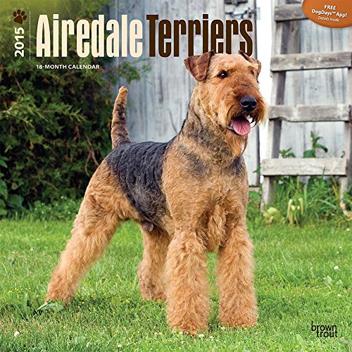 Airedale Terriers 2015 Wall Calendar