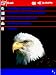 Bald Eagle 2 Pack Today Theme