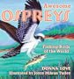 Awesome Ospreys: Fishing Birds of the World