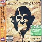 Darwin's Waiting Room - Orphan