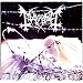 My favourite death and black metal albums of all time.