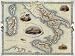 BIRD EYE VIEW SOUTHERN ITALY ITALIA CARNIVAL SICILY NAPLES SARDINIA MAP VINTAGE POSTE...