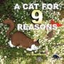 A Cat for Nine Reasons