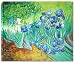 Irises in Field by Vincent Van Gogh (16x20)