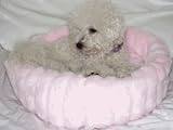 Fur Gabby Bed (Size 24)