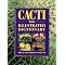 Succulent . . and Container . . Gardening ! 5