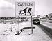 Geoffrey James: Running Fence