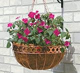 Queen Elizabeth Hanging Basket - Copper - 16 Inch
