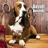 Basset Hounds 2007 Calendar