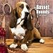 Basset Hounds 2007 Calendar