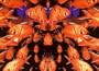 Liquified [VHS]