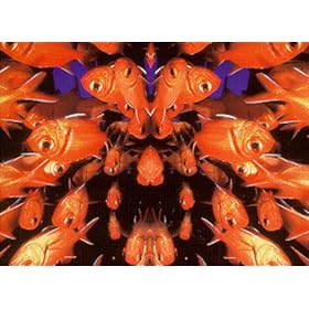 Liquified [VHS]