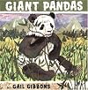 Giant Pandas