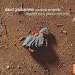 Mozart: Early Piano Concertos