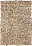 2' x 3' Camilla Hand-woven contemporary Shag Rug