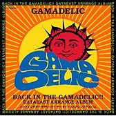 BACK IN THE GAMADELIC!!~DATAEAST ARRANGE ALBUM~