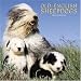 Old English Sheepdogs 2006 Calendar