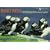 Project Puffin: How We Brought Puffins Back to Egg Rock