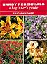 Hardy Perennials: A Beginner's Guide