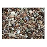 Favor FX Schmidt Sea Gems 1000 Piece Jigsaw Puzzle