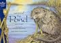 Around the Pond (Wild Wonders Series)