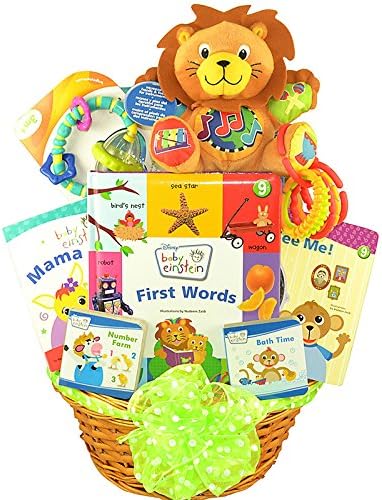 Baby Einstein Laugh Learn, and Discover Baby Gift Basket