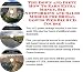 Book The Down and Dirty How To Earn Extra Money, Biz Networking and Sales Models for Bridal Gowns Web Biz 3 CD Course