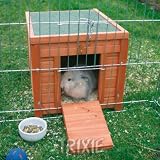 RABBIT GUINEA PIG OUTDOOR HOME HOUSE FOR RUN CAGE HUTCH